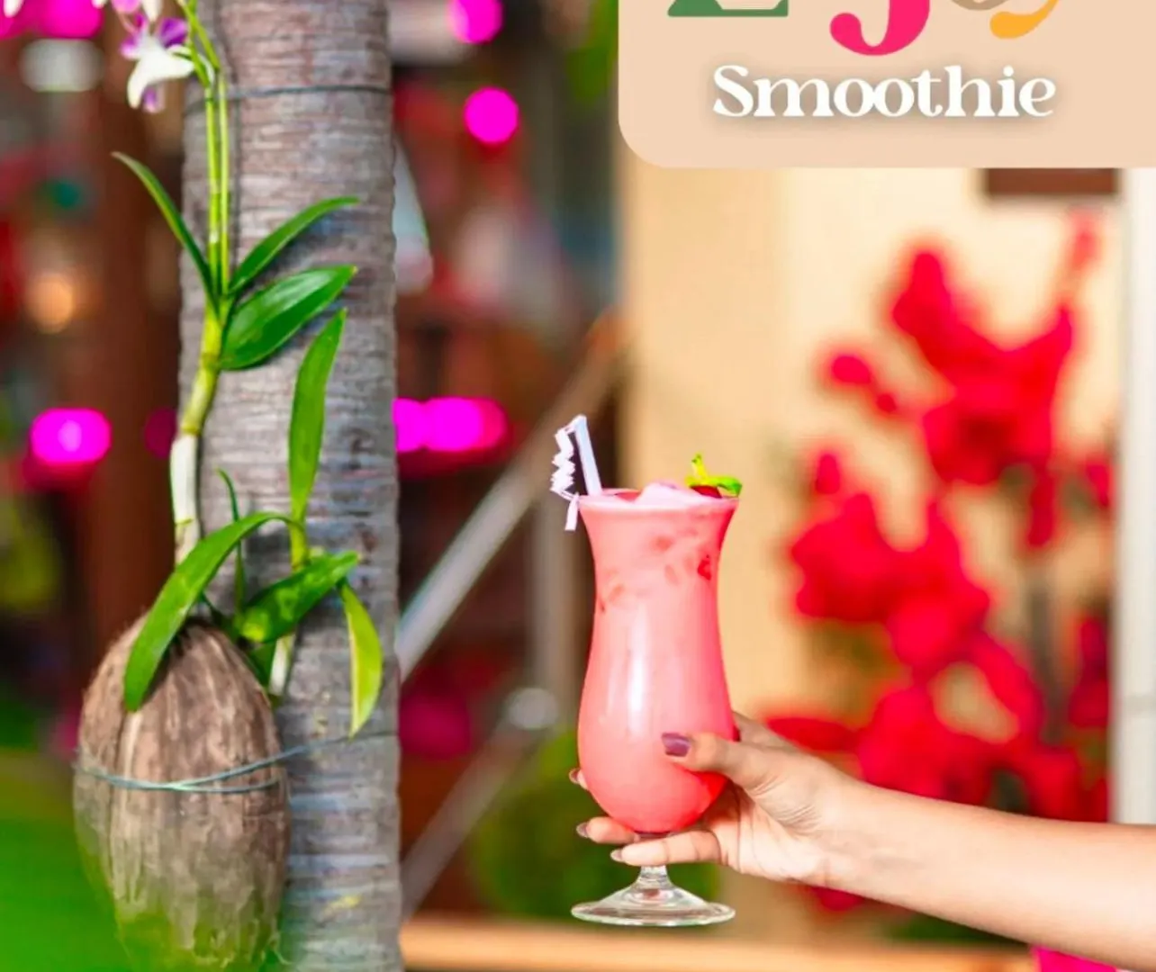 Fiesta Sol Caribe Suites 蓬塔卡纳 多米尼加共和国