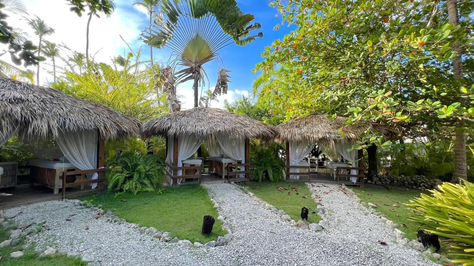 ***** 酒店 Fiesta Sol Caribe Suites 蓬塔卡纳 多米尼加共和国